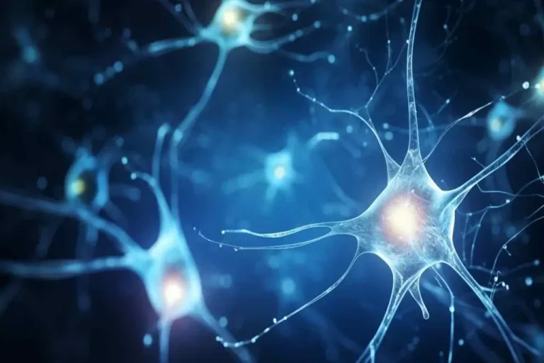 Why Neuroscience Based Website Design Enhances User Experience